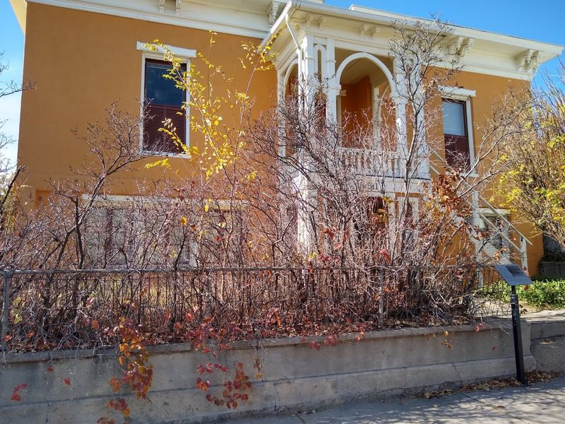 New Mexico – Silver City