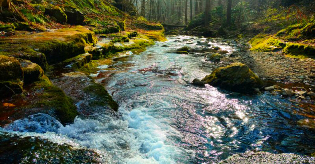 New Jersey’s Best-Kept Hike Secret Goes From Hidden Waterfalls to a Crystal-Clear Highland Lake