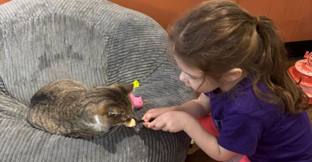 New Jersey’s Coziest Café Lets You Sip Coffee While Cats Curl Up Beside You