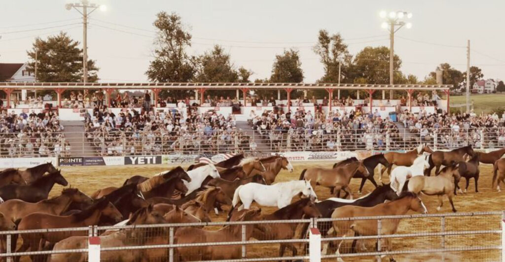 New Jersey’s Oldest Rodeo Is Still Packing the Stands Every Single Week