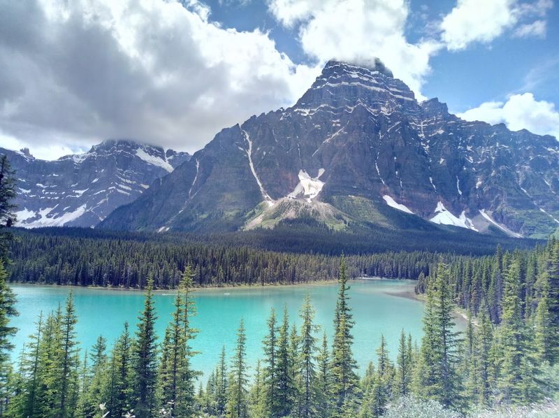 Canada: Nature as a Full System Reset