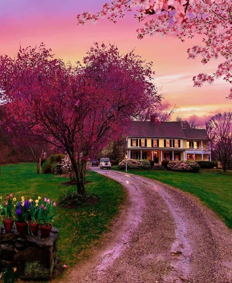 Cozy Inns Over Crowded Resorts