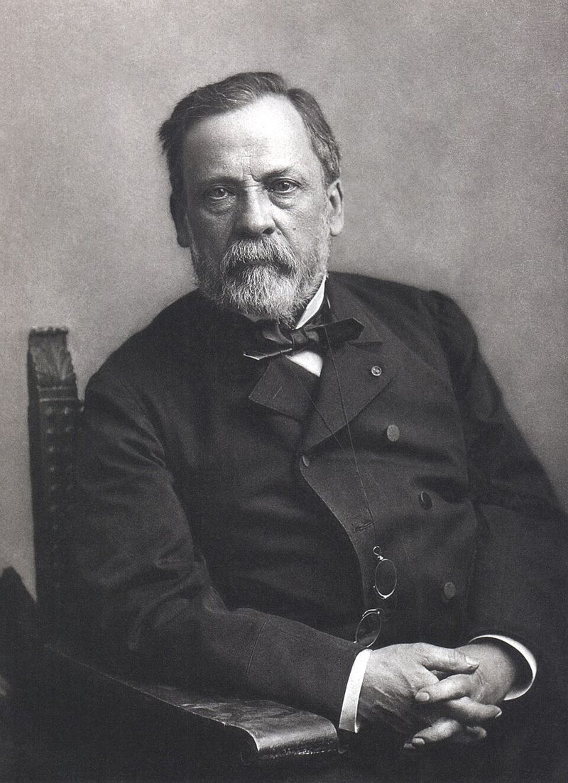Louis Pasteur - Germ Theory of Disease