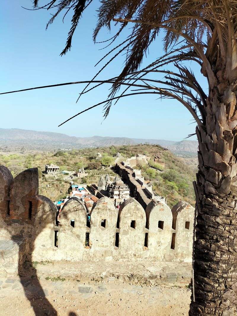 Practical Tips and Timing