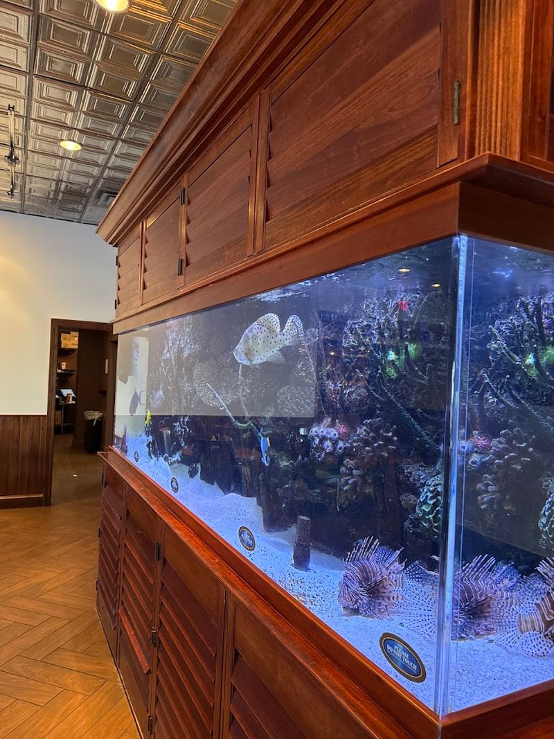 Practical Tips for Getting the Most Out of Your Visit