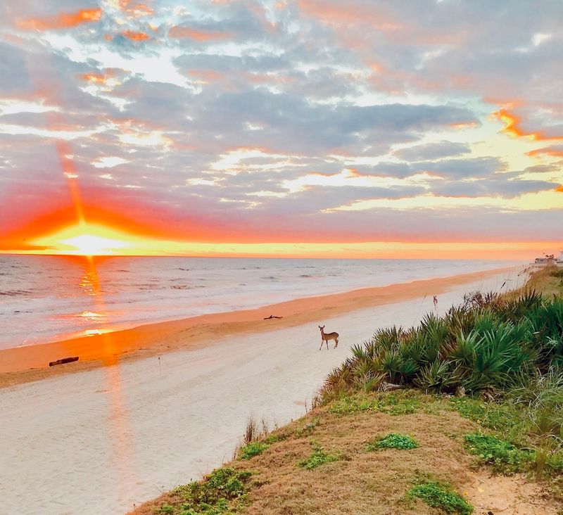 Treasure by the Sea – Flagler Beach (Atlantic)
