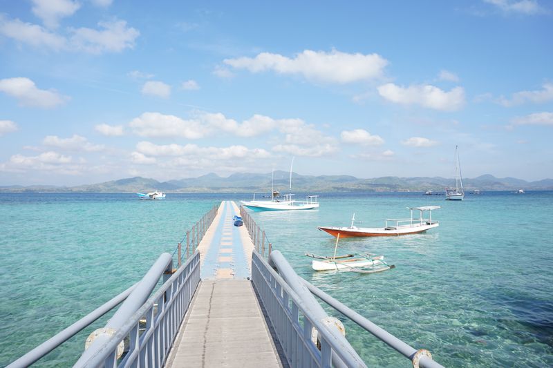 Women Become the Household CEOs