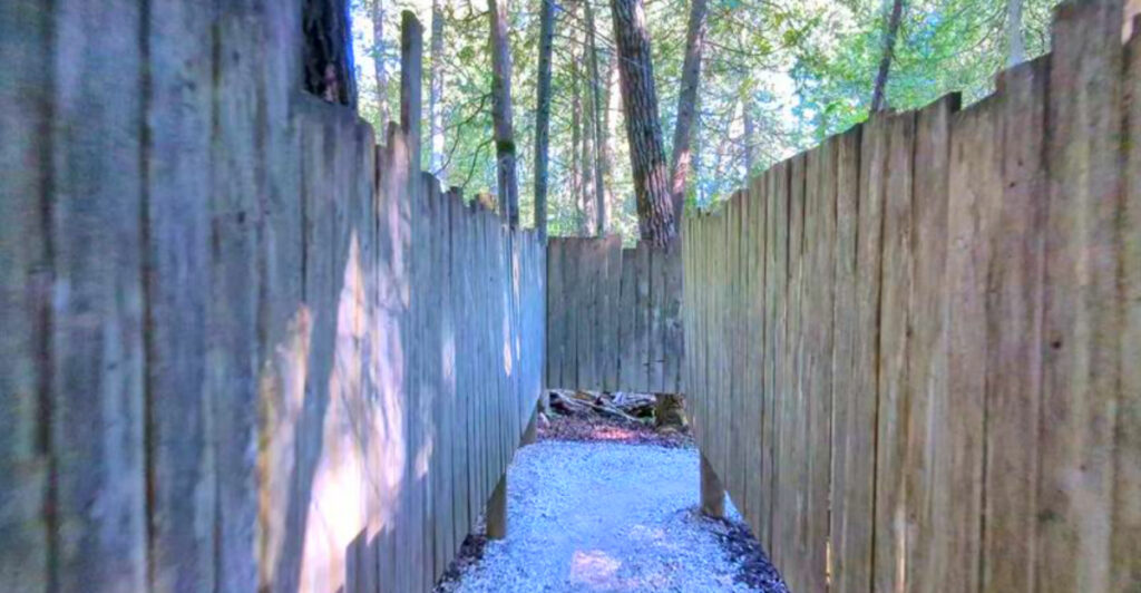 Nothing Makes Sense at This Michigan Mystery House – And That’s Why People Love It