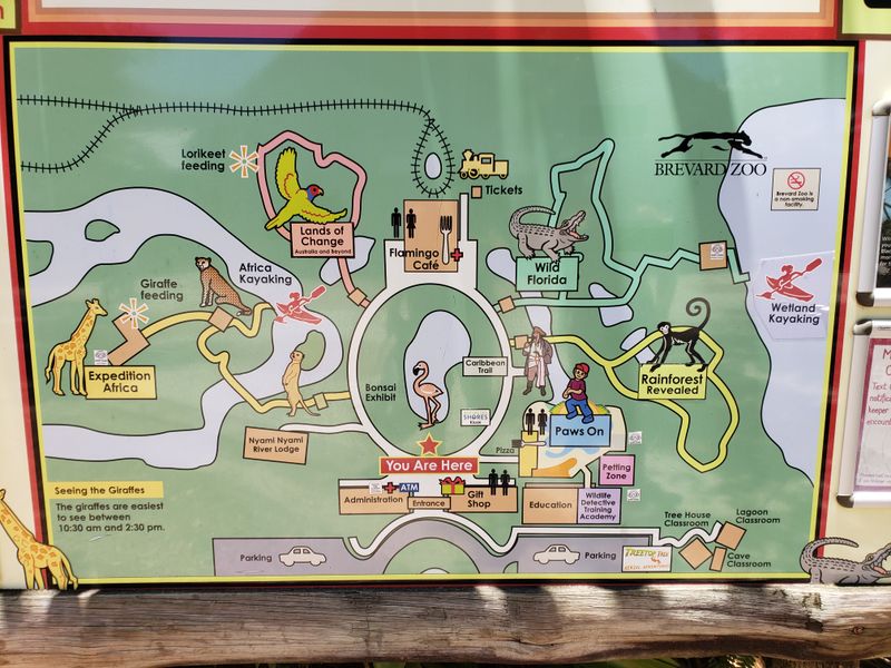 Volunteer Wisdom Stations