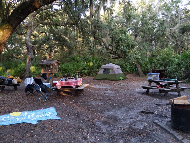 Sea Camp Campground: Easy Basecamp