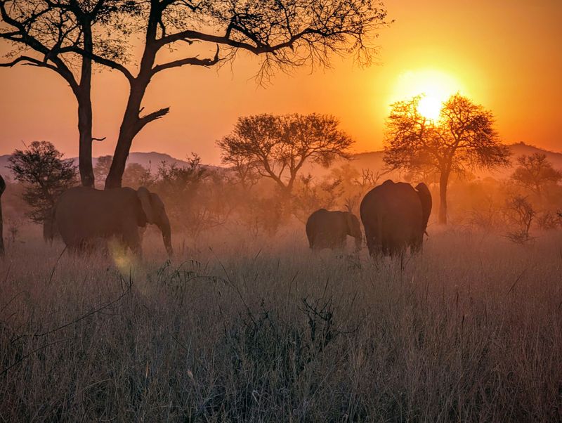 Kruger National Park — South Africa