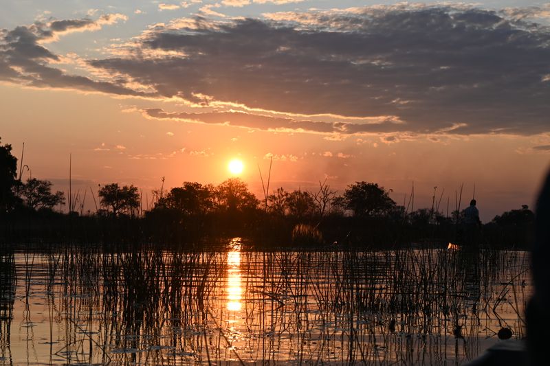 Okavango Delta Wilderness - Botswana