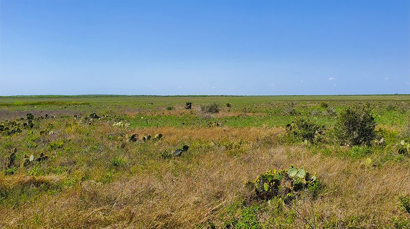 Palmito Ranch, Texas