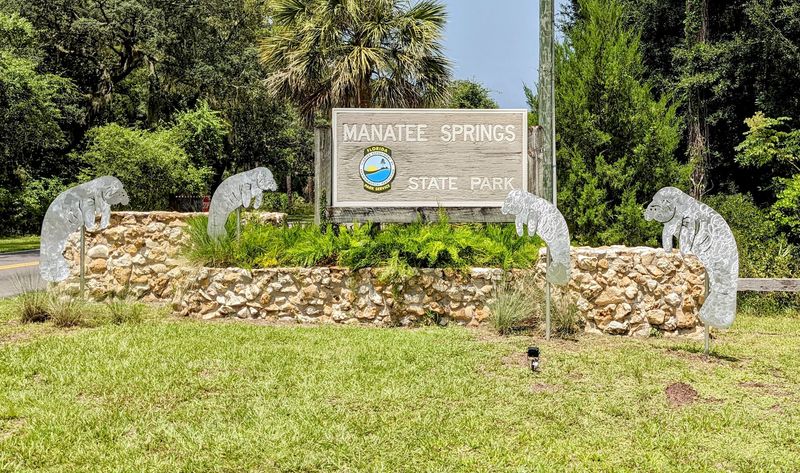 Finding the Park: Address, Location, and First Impressions