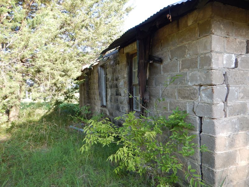 A Population That Plummeted from Hundreds to Dozens