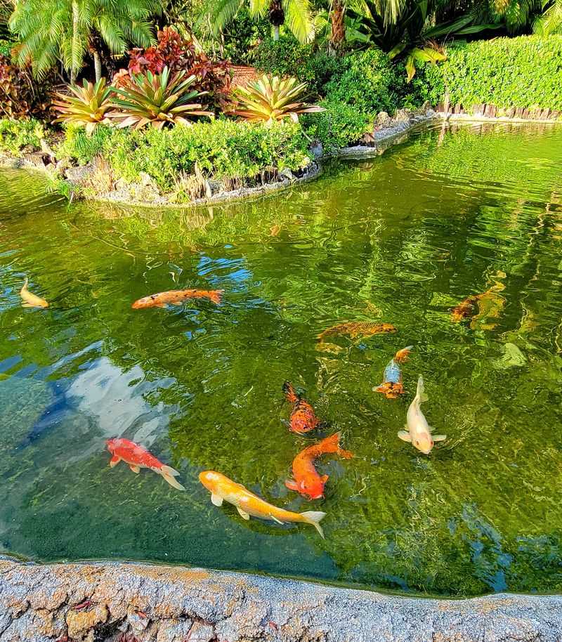 More Than a Safari - It’s an Adventure