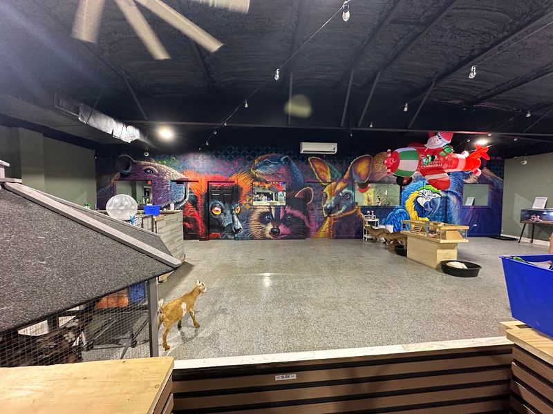 The Gift Shop and Small Extras Worth Noticing