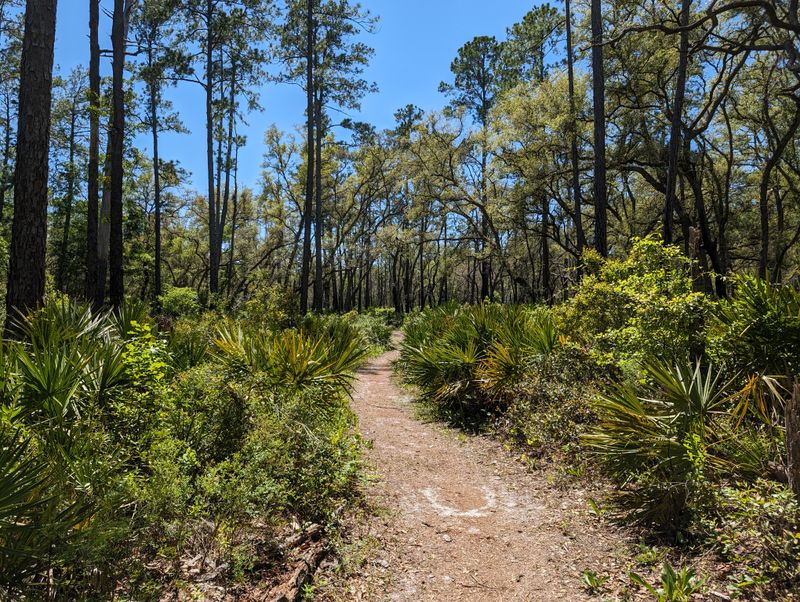 Trail network and quiet corners
