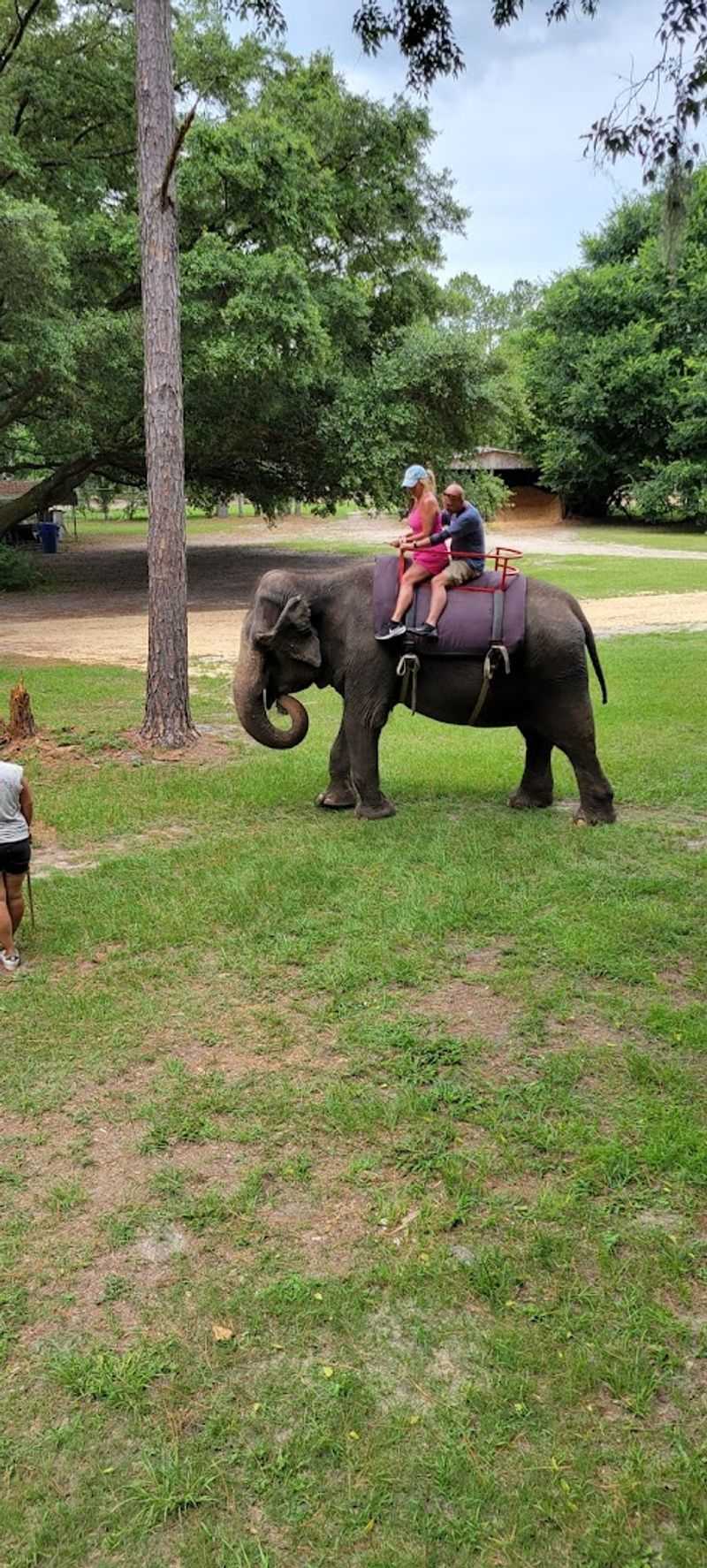 Photo Opportunities and What They Cost