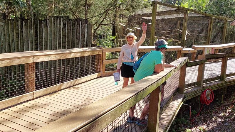 Wildlife Care and Rehab Center Peek