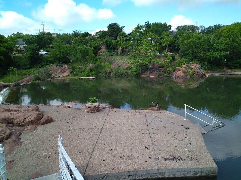 Pet-Friendly Atmosphere