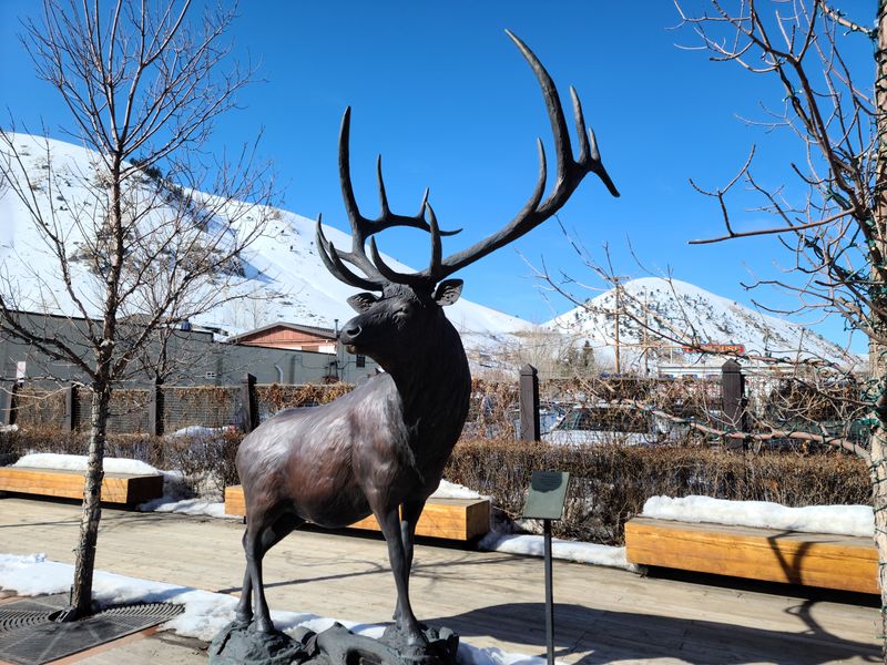 Thriving Arts and Gallery Scene