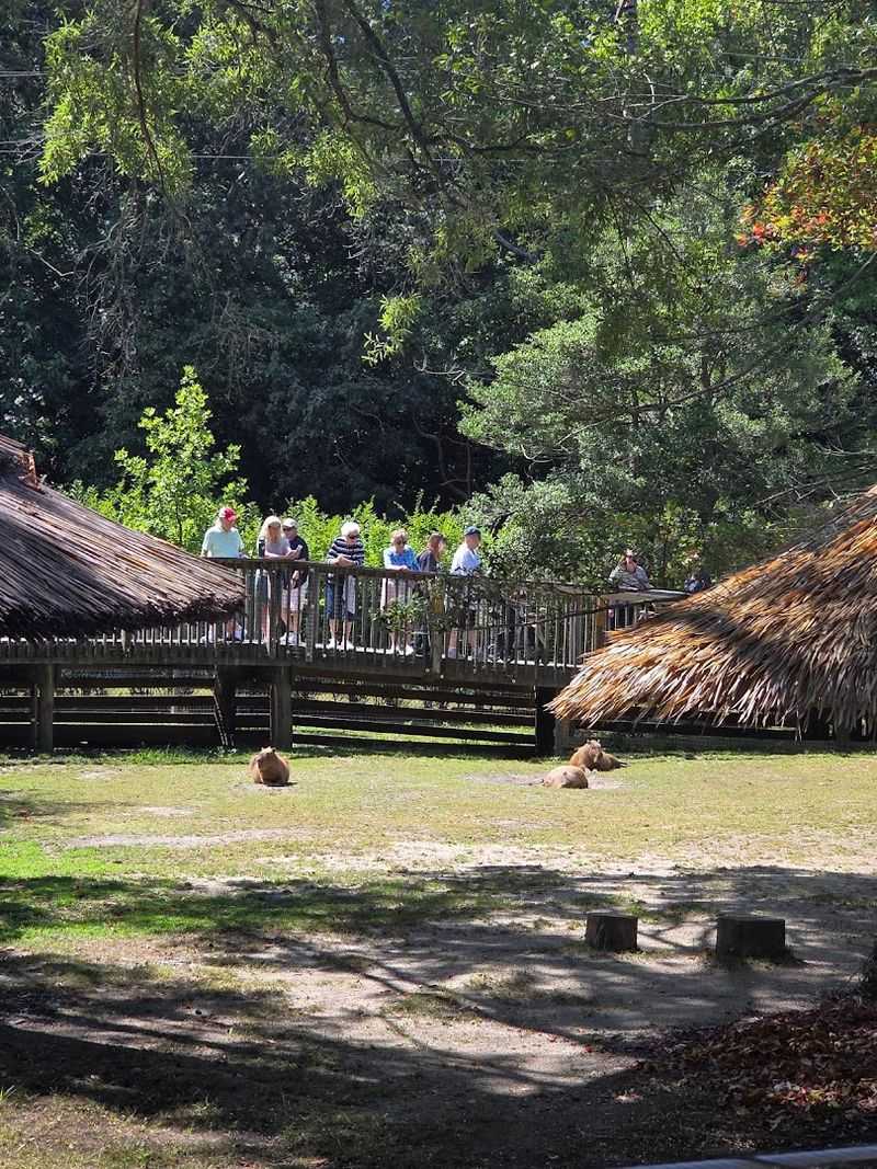 The Elevated Walkover Is a Must-See Spot