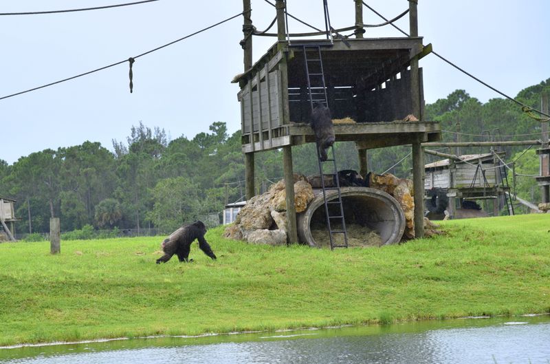 Comfort and Safety in Your Vehicle