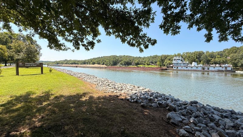 Local Marinas & Boat Services