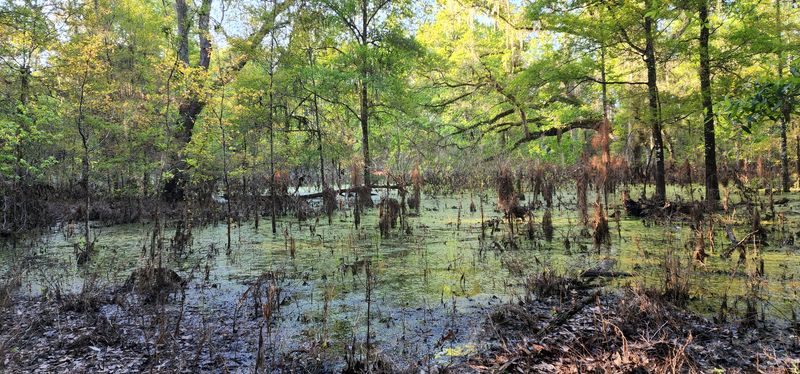 The Quiet Bend: First Hint Of Water