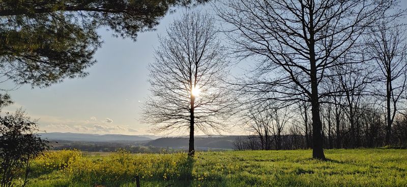 New Market, Virginia