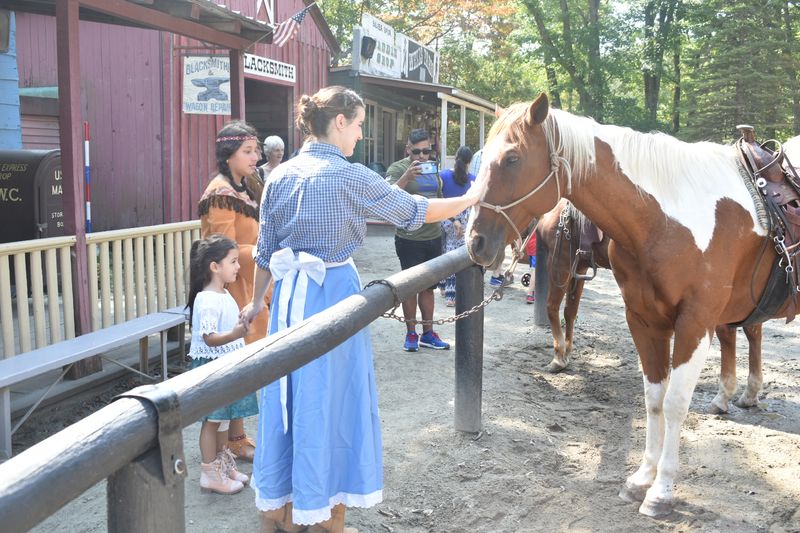 The Petting Zoo and Barn Animals