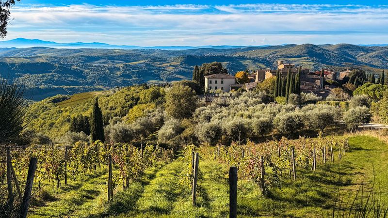 Volpaia — Organic Wine & Olive Groves