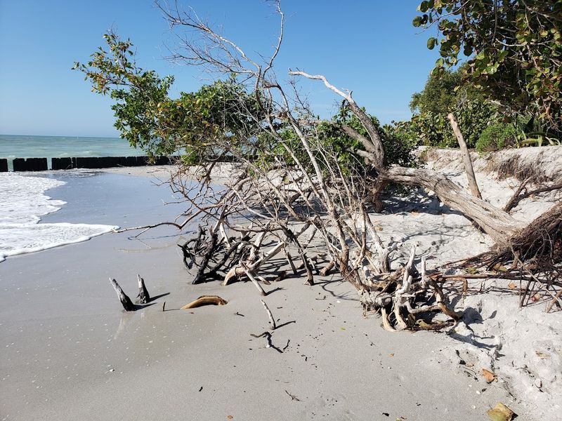 The Natural, Unmanicured Feel of the Beach