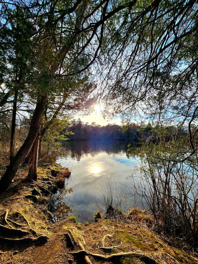 Thundergust Lake Shoreline Stroll (Yellow Trail, ~1 mile)