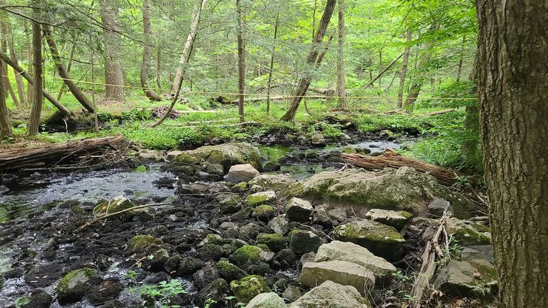 Long Pond Ironworks State Park: Industrial Ruins Meet Nature
