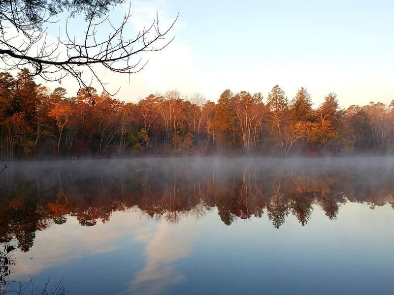 Parvin Grove Day-Use Corner