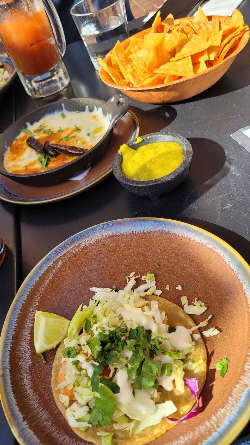 Vegetarian Friendly Wins