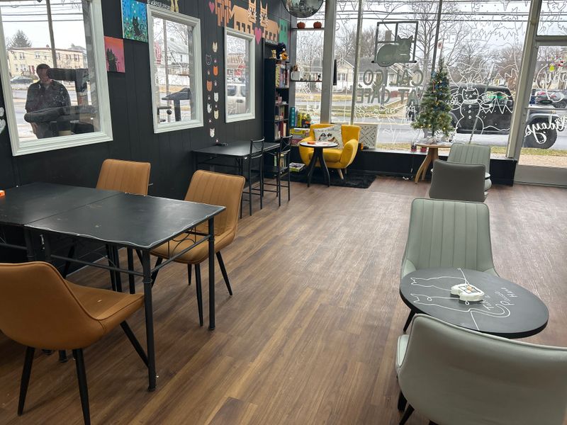 Quiet Hours And Busy Buzz: When To Visit