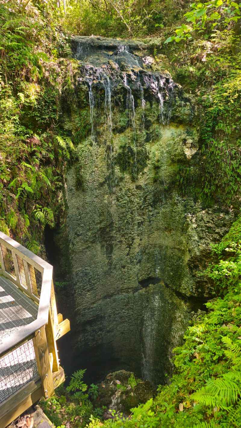 Whispering Boardwalk Over Karst