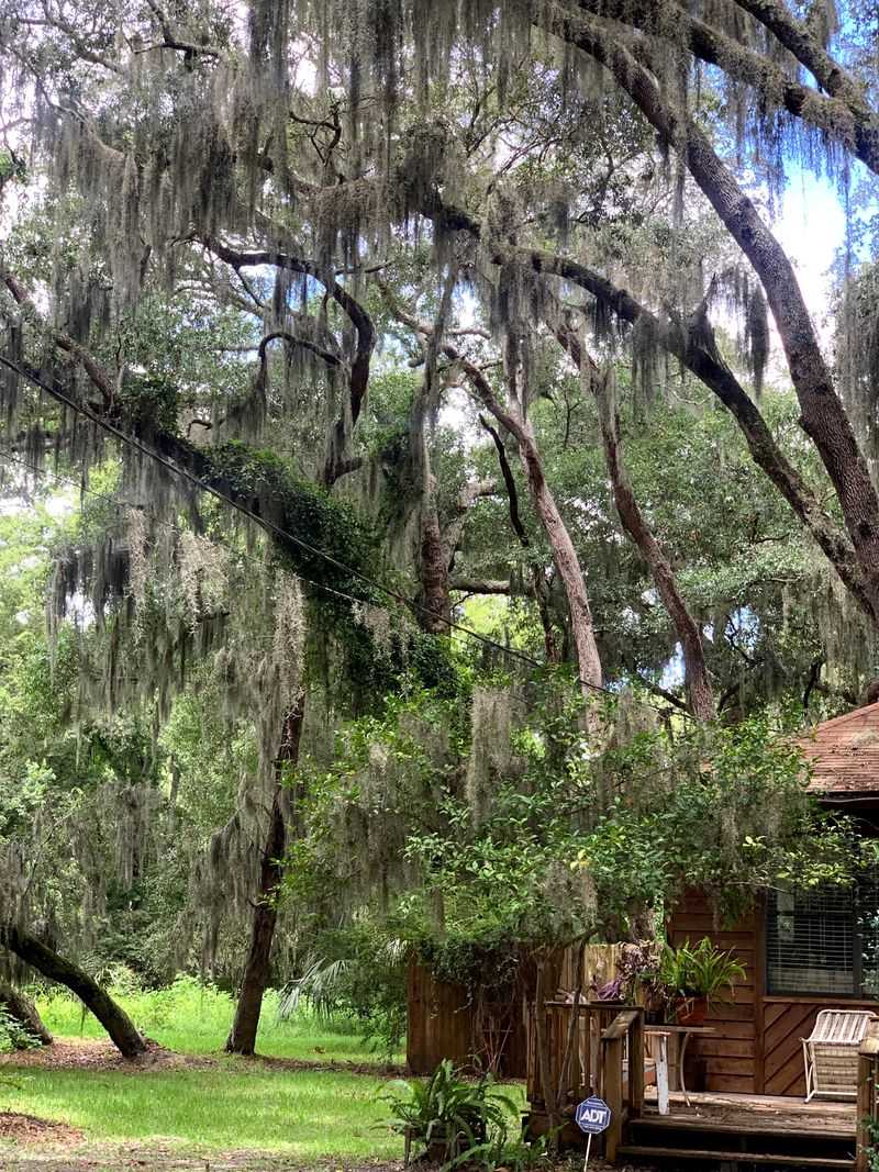 Amelia Island - Nassau County