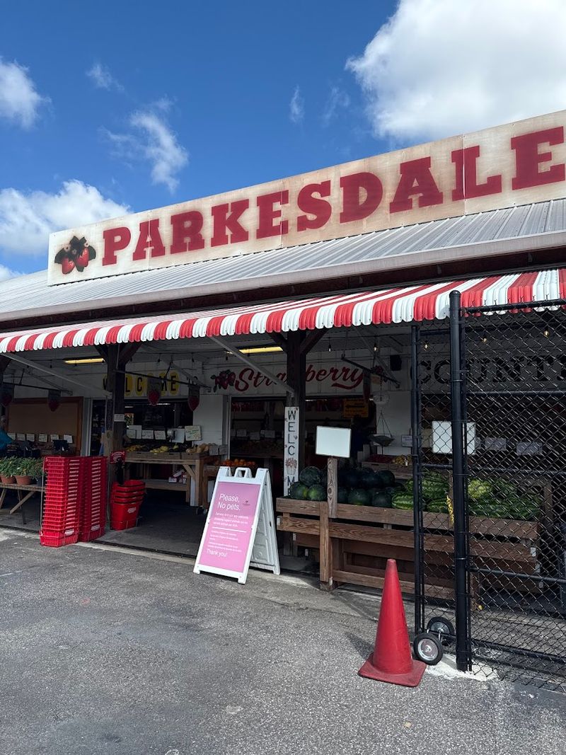 A Roadside Legend With a Proper Address