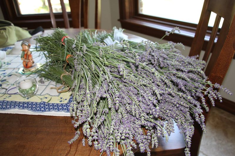 Lavender Culinary Uses