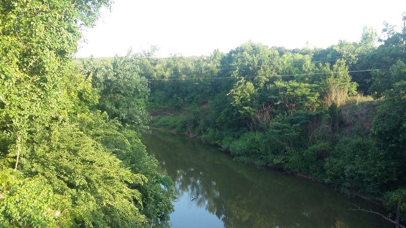 Nature Surrounds You Completely