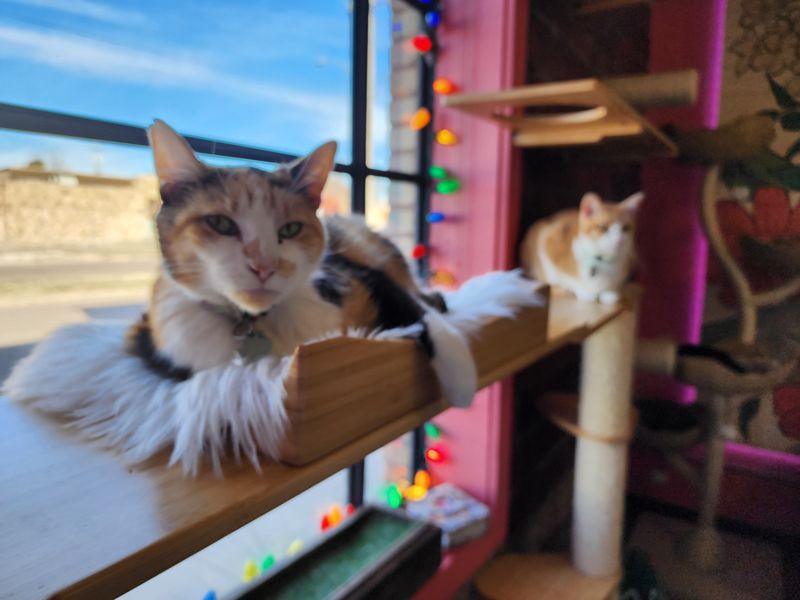 Instagram-Worthy Moments Around Every Corner