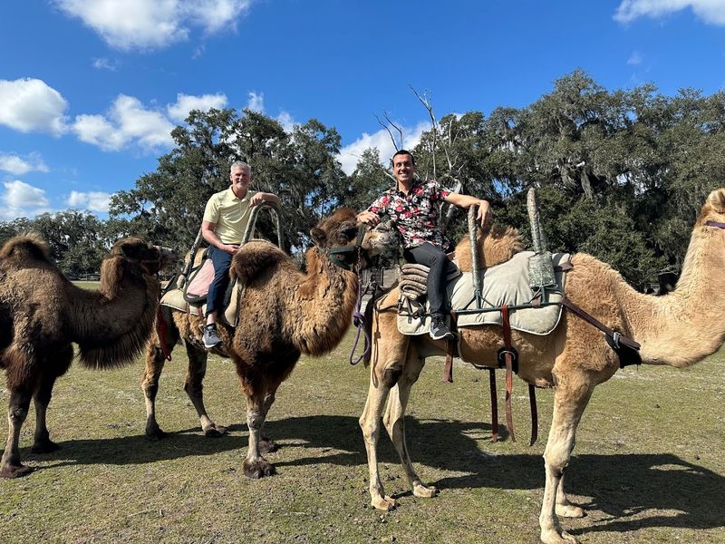 Pricing, Reservations, and What to Expect