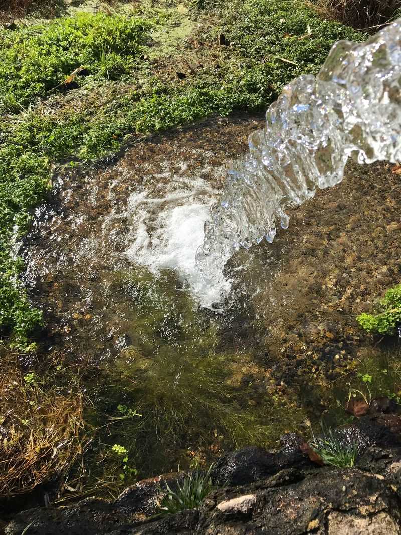 No Treatment Chemicals Added