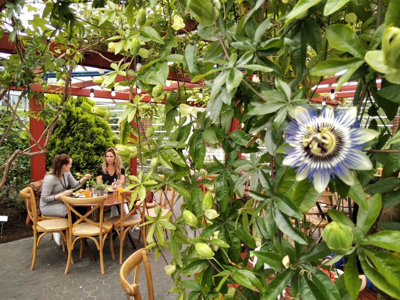 Reykjavik Botanical Garden