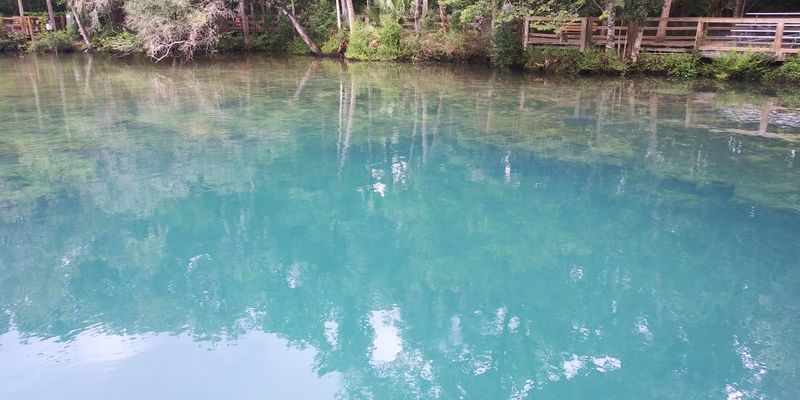 Scalloping in the Gulf