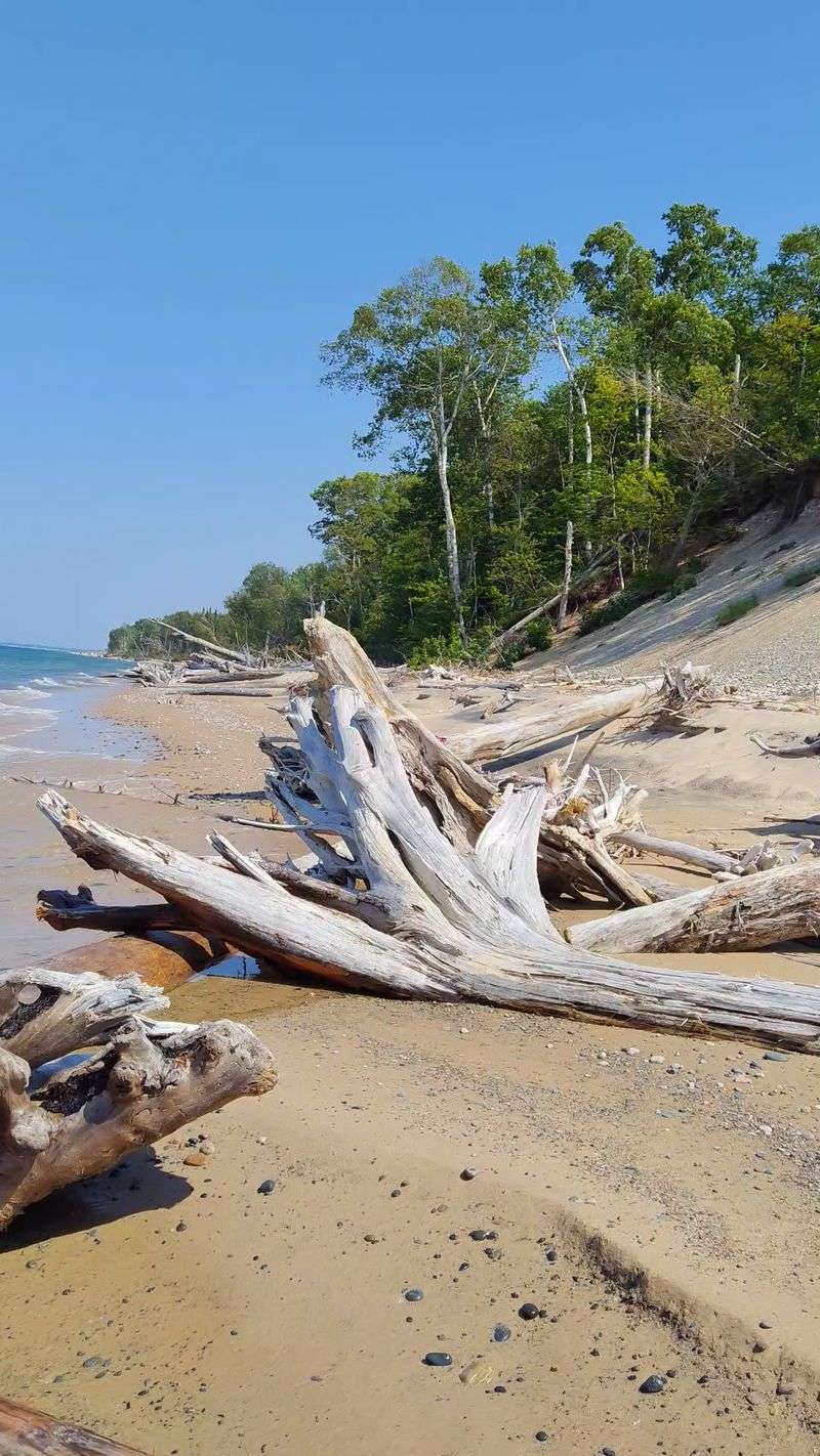 Muskallonge Lake State Park, Newberry